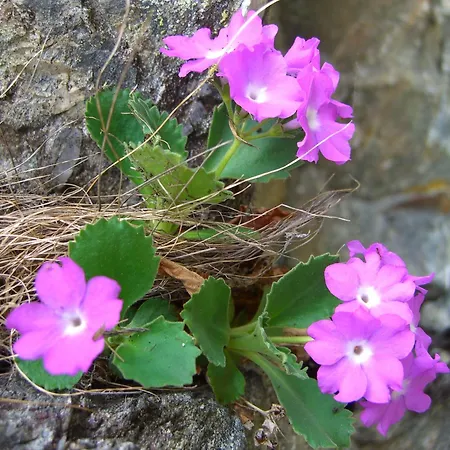 Lurega - Inklusive Sommer Card Galtür