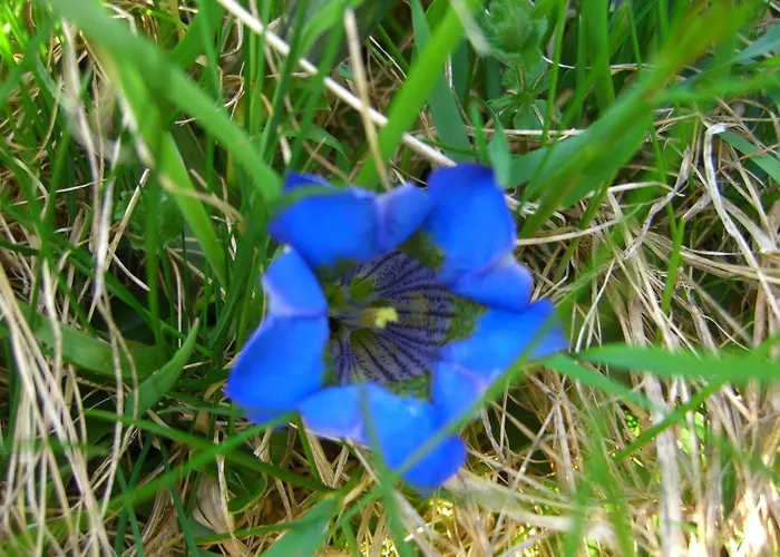 Lägenhet Lurega - Inklusive Sommer Card *