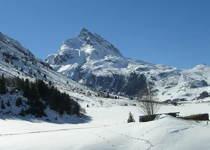 Lurega - Inklusive Sommer Card